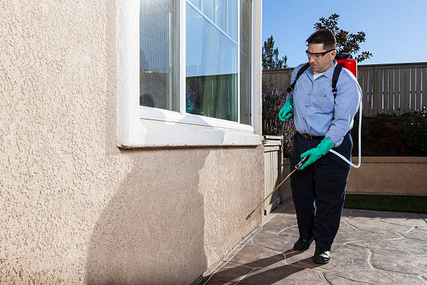 Best Pest Exclusion Services  in Carnegie, OK